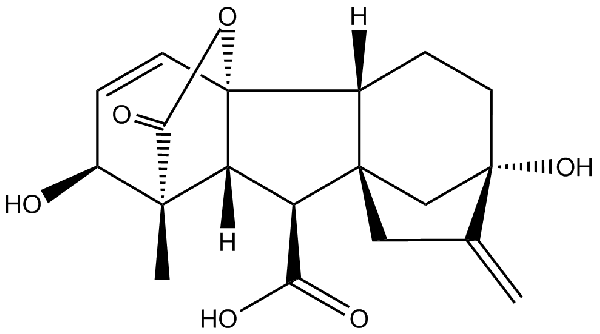 赤霉素GIBBERELLIC ACID，居然有這么神奇？